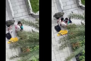 Bé nữ sinh kính cận bú cu để người yêu xuất vào miệng ở sảnh chung cư | BJ #4723fb