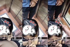 Bé sugar baby hồn nhiên bú cu trong thang máy thì bất ngờ có người lạ vào em mặc kệ | BJ #87d5e7